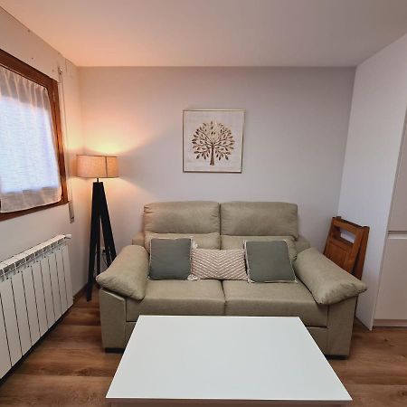 Puente Viejo Apartment Santa Cilia de Jaca Luaran gambar