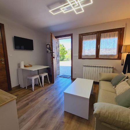 Puente Viejo Apartment Santa Cilia de Jaca Luaran gambar